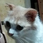 メイちゃん