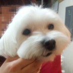 なな