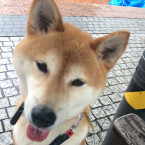 まり
