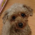 えり