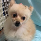 たかちゃん