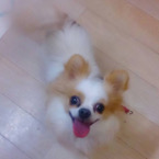 カラ