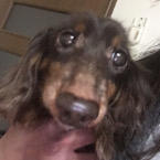 ノア