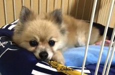 バナー