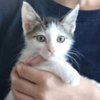 チィちゃん