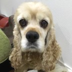 メアリー