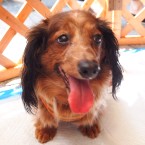 キャシー