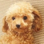 ウラン