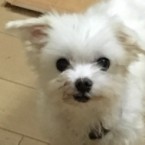 うみ
