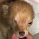 いのり