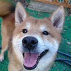 聖(さとる)