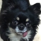 ヨン