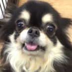 ナッツ