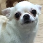 メル