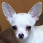 暦