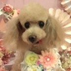 レオン