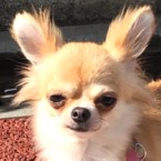 エナ