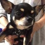 すー