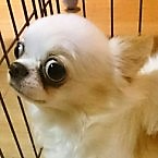 あくび
