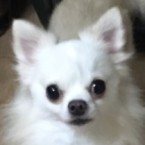 アバ