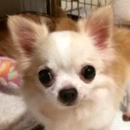 なつ
