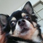たけみ