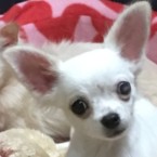 ニック