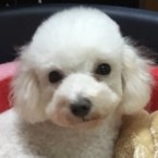 ミリ
