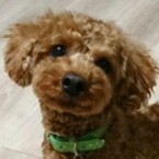 コロン