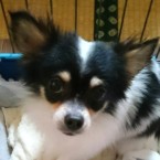 そらお