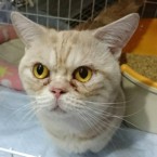  黄太郎