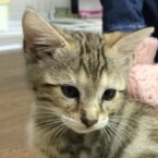 Ａちゃん