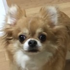 マツコ