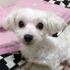 りり