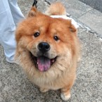 じゅん