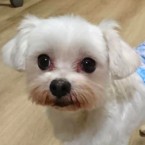 ソルト