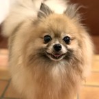 ラブ