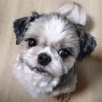 さき