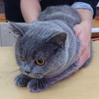 ギフト