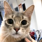 おこめ