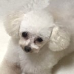 ソナ