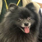 ぶんご