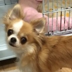 ズレ
