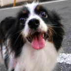 うに
