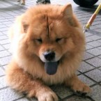 福