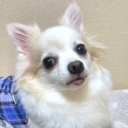 りっぷ