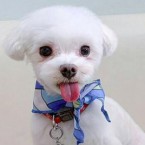 ヒカル