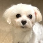 ユナ