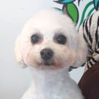 みおり