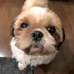 ユアン